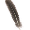 Feder zum Räuchern 20cm